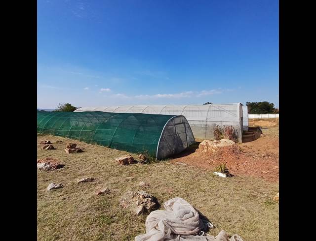 8.50HA FARM FOR SALE IN NOOITGEDACHT AH